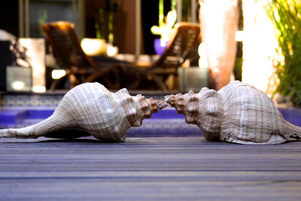 Cool Clima Bed and Breakfast Olivos Εξωτερικό φωτογραφία
