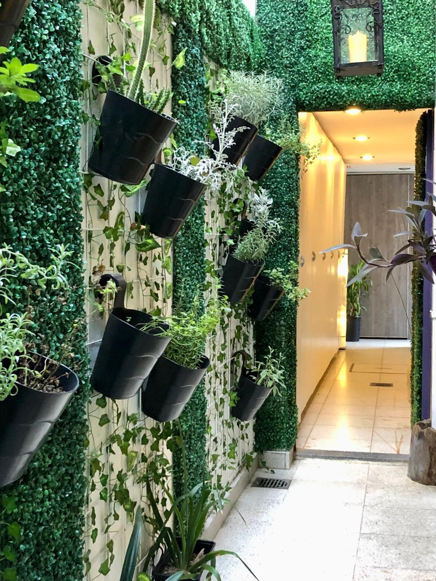 Cool Clima Bed and Breakfast Olivos Εξωτερικό φωτογραφία