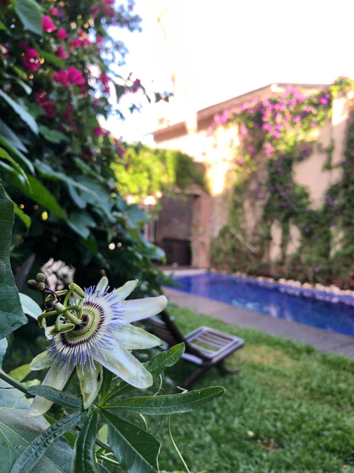 Cool Clima Bed and Breakfast Olivos Εξωτερικό φωτογραφία