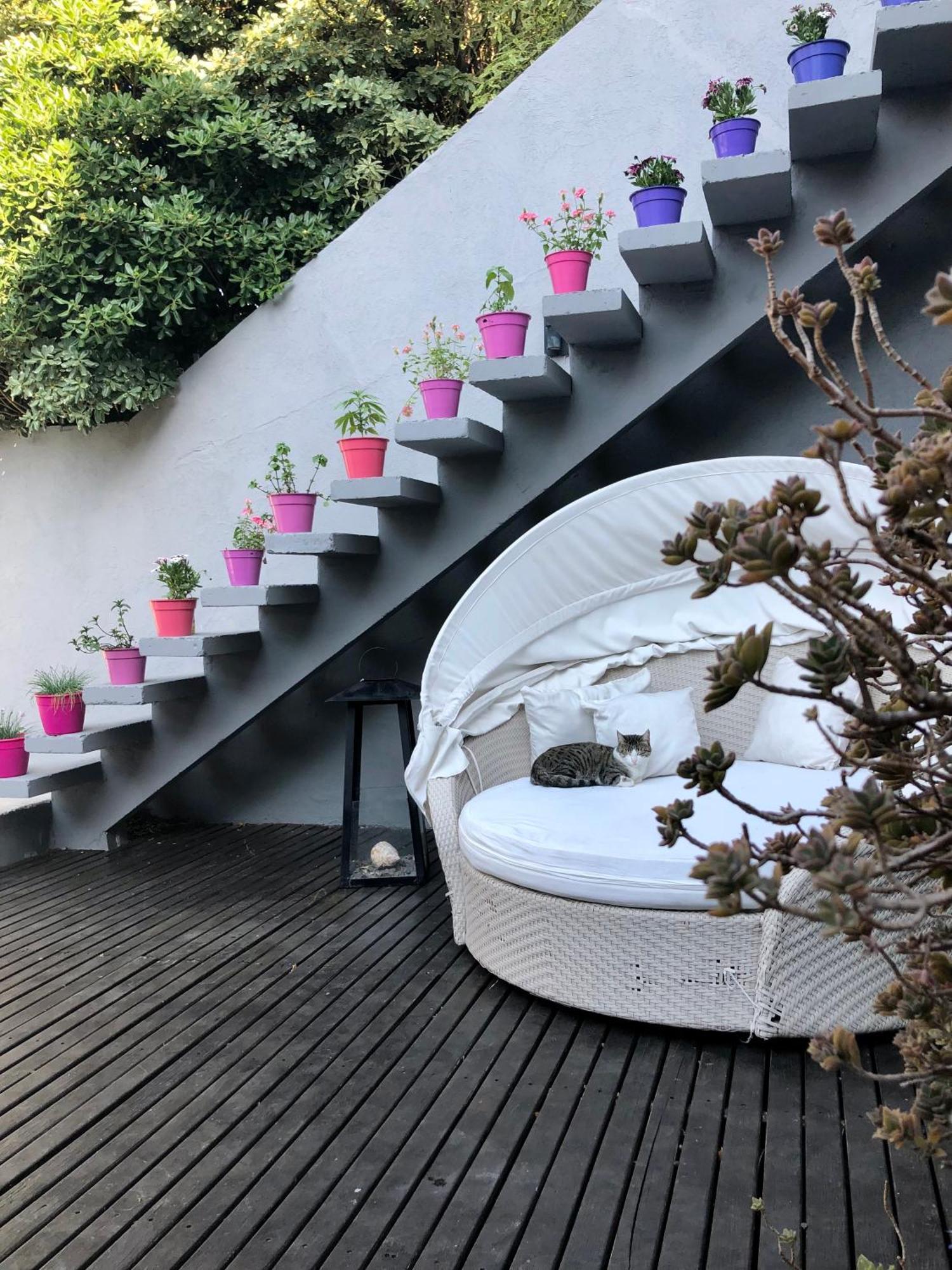 Cool Clima Bed and Breakfast Olivos Εξωτερικό φωτογραφία