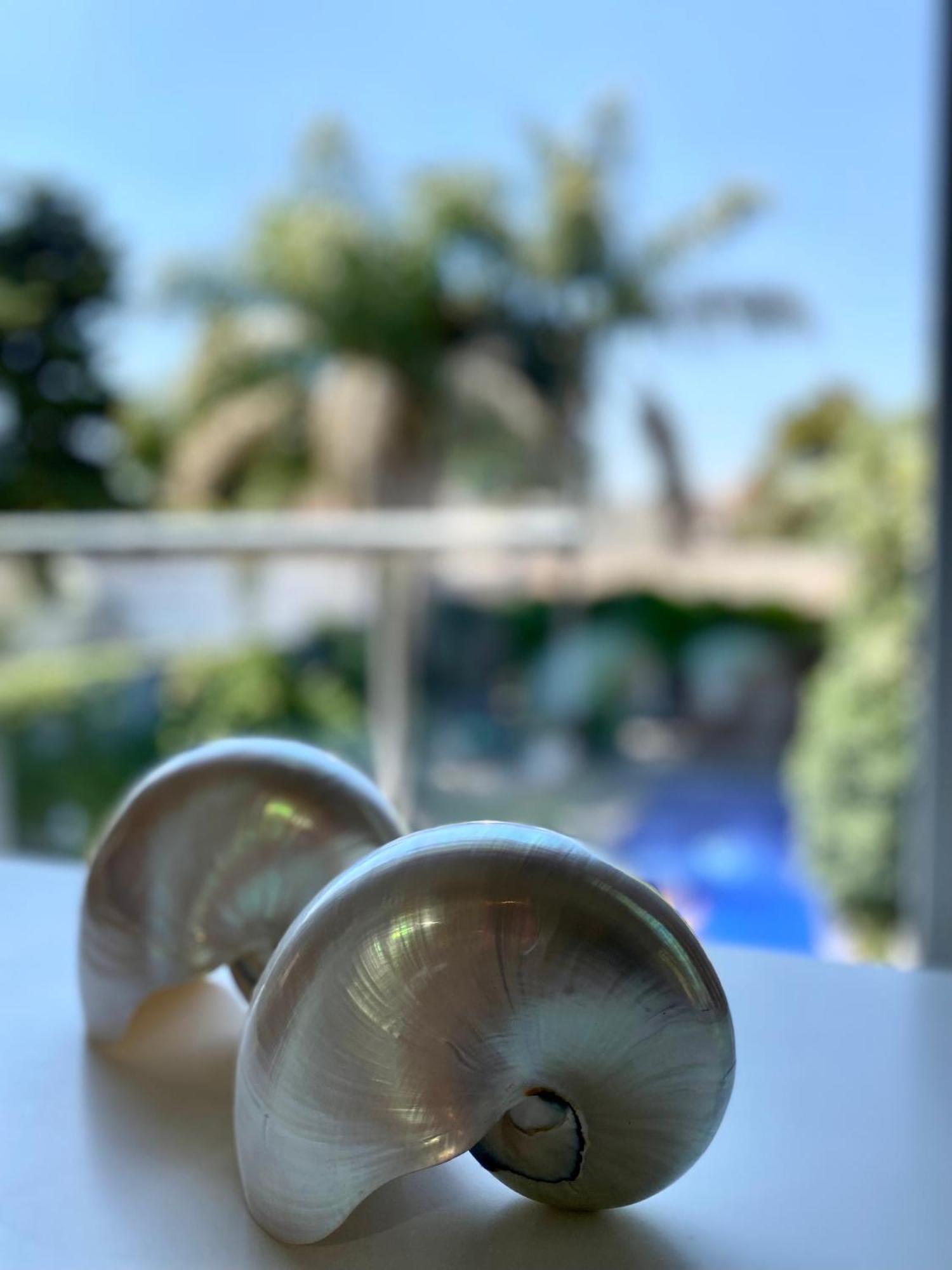 Cool Clima Bed and Breakfast Olivos Εξωτερικό φωτογραφία