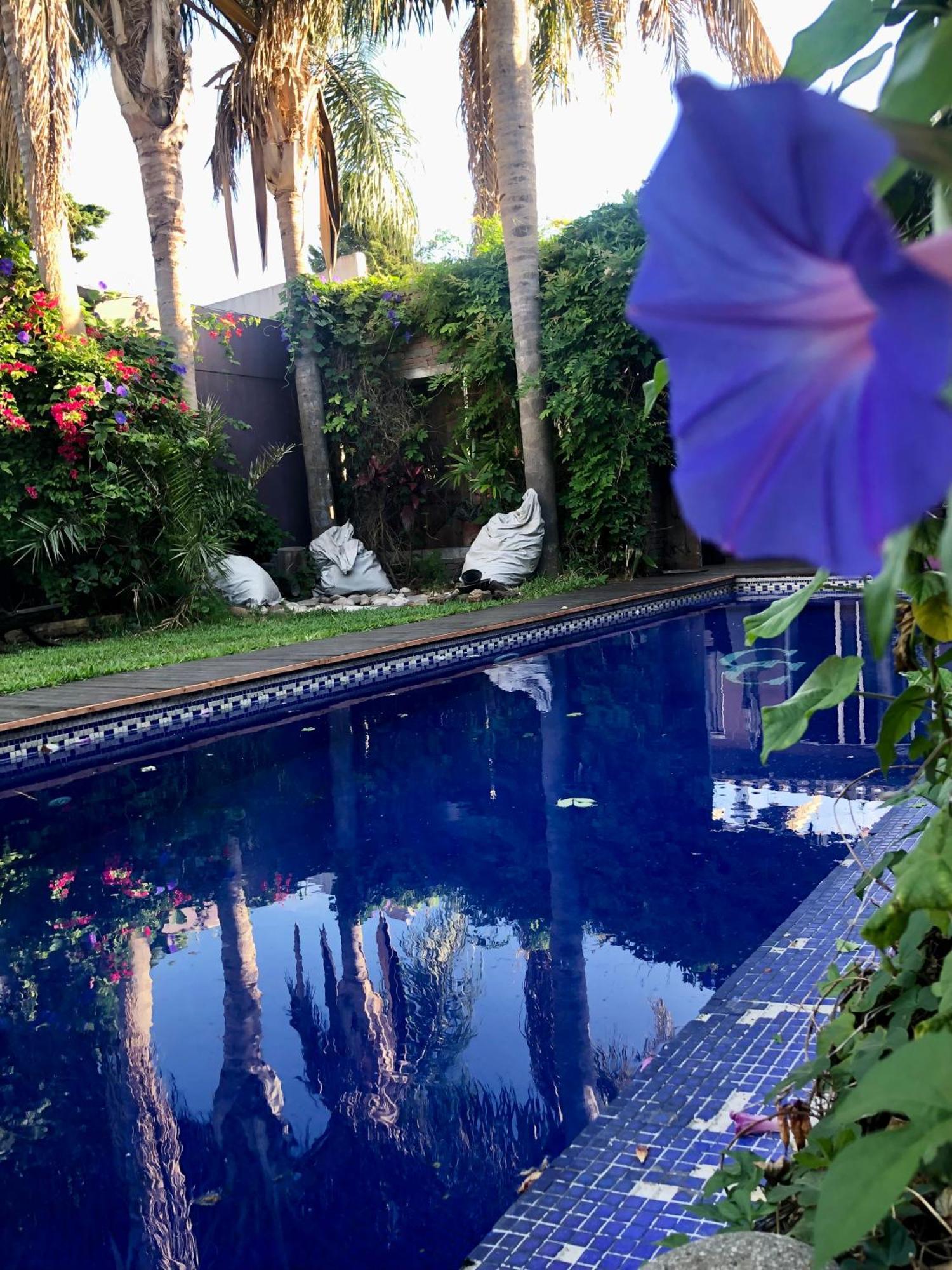 Cool Clima Bed and Breakfast Olivos Εξωτερικό φωτογραφία