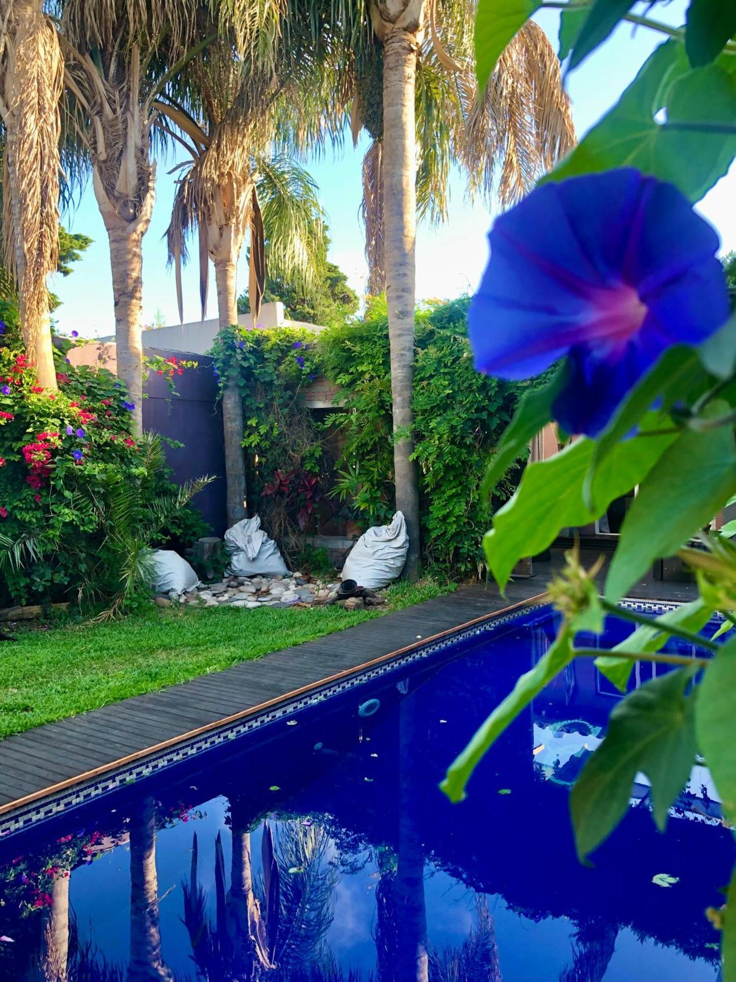 Cool Clima Bed and Breakfast Olivos Εξωτερικό φωτογραφία