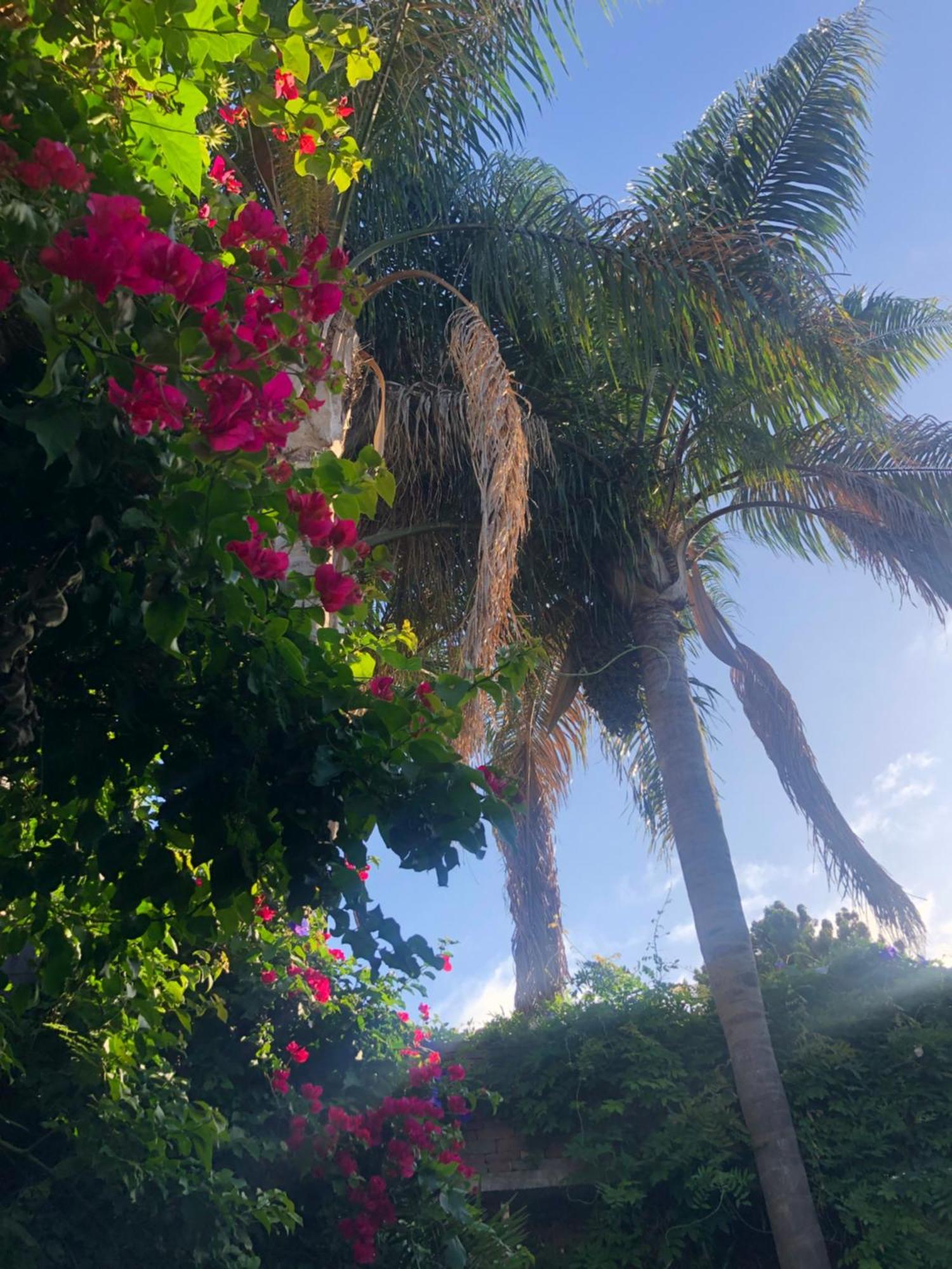 Cool Clima Bed and Breakfast Olivos Εξωτερικό φωτογραφία