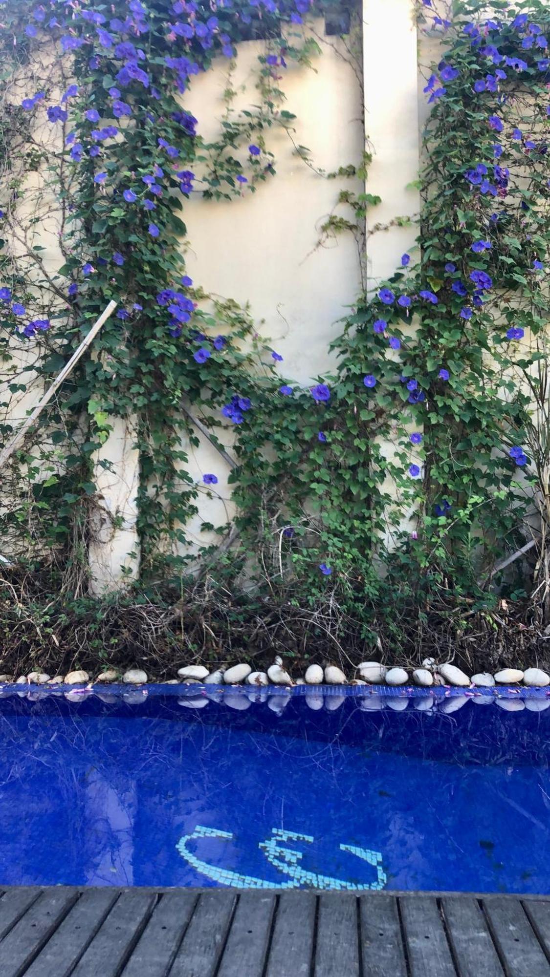 Cool Clima Bed and Breakfast Olivos Εξωτερικό φωτογραφία