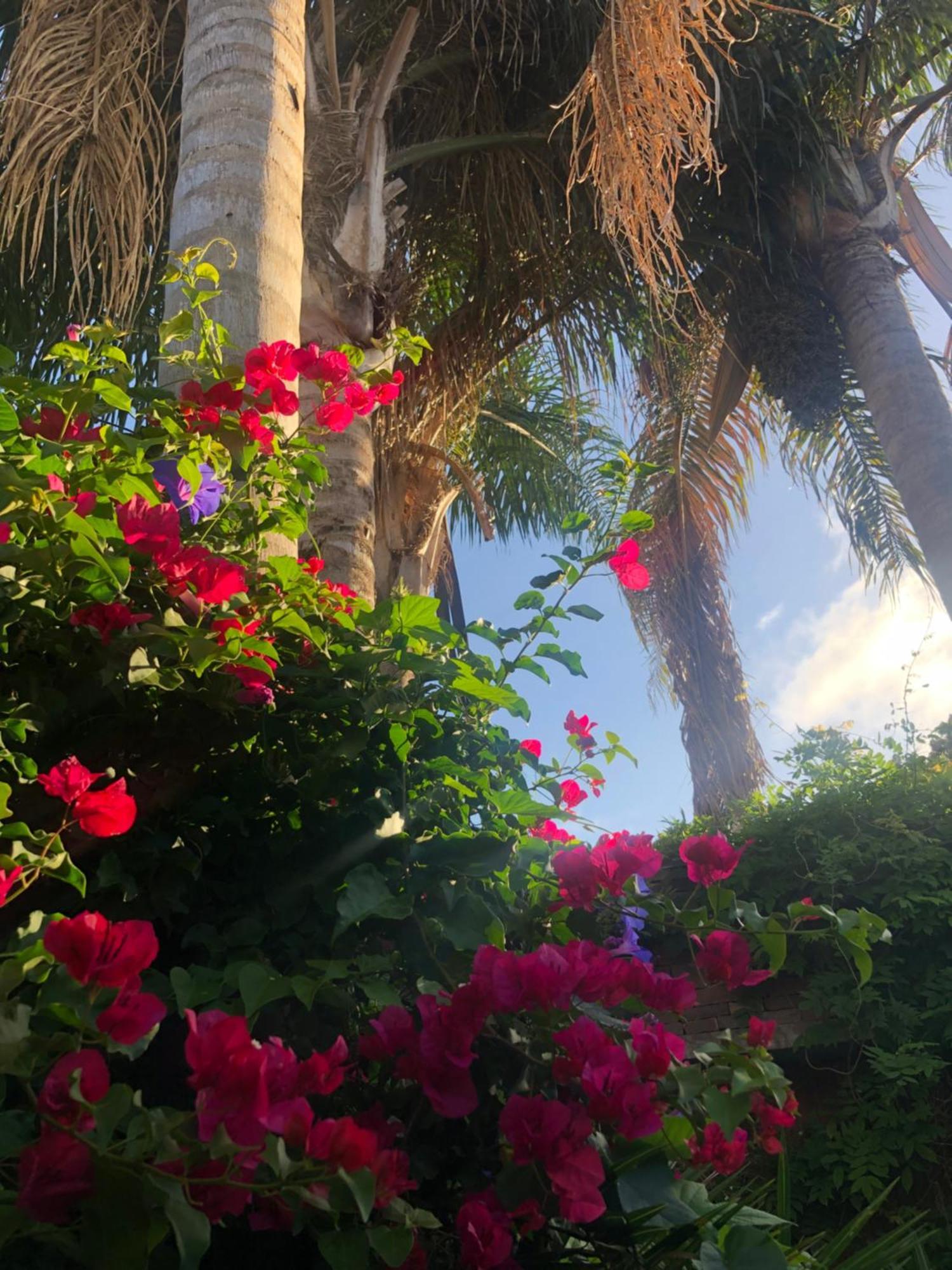 Cool Clima Bed and Breakfast Olivos Εξωτερικό φωτογραφία