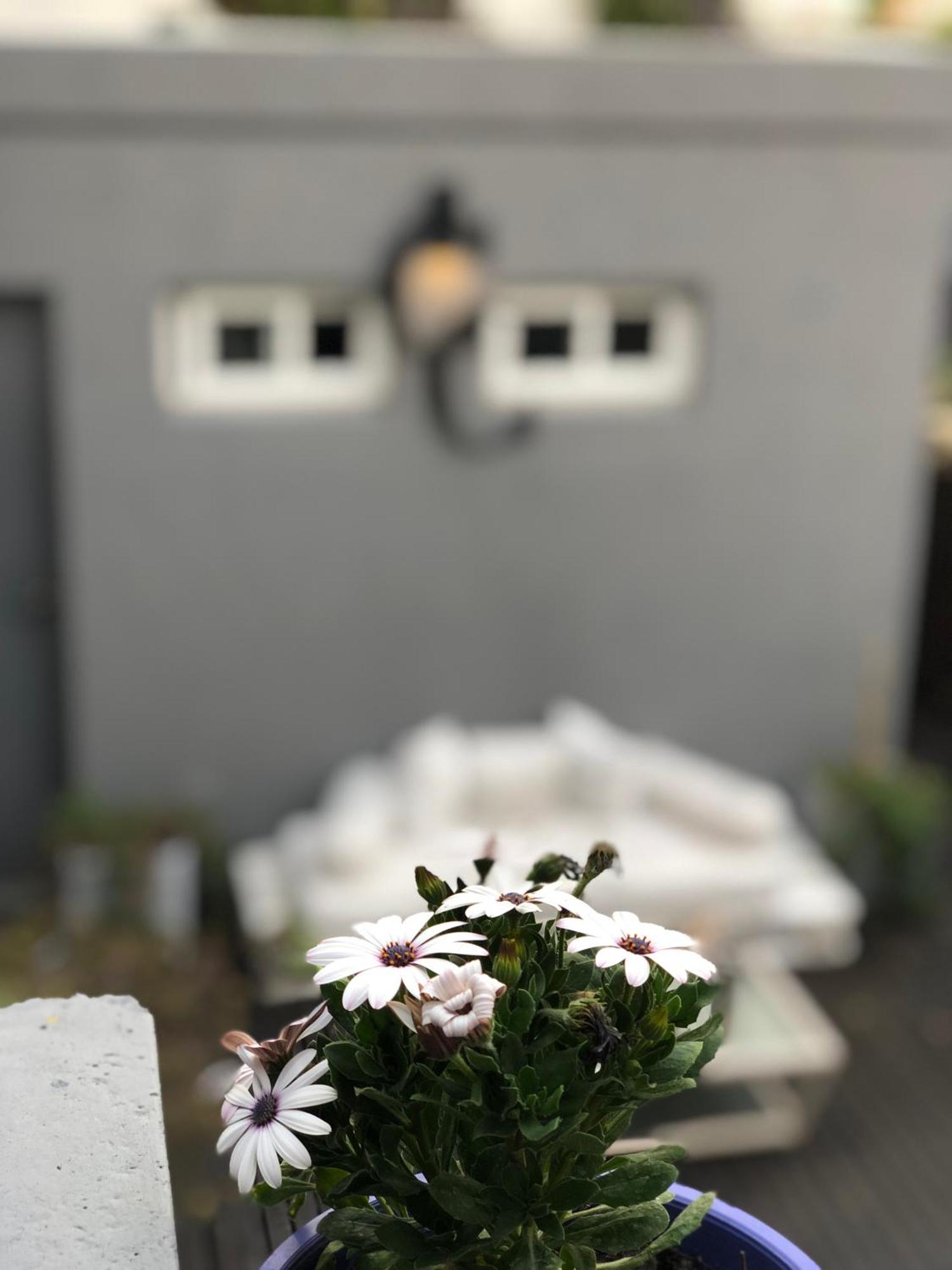 Cool Clima Bed and Breakfast Olivos Εξωτερικό φωτογραφία